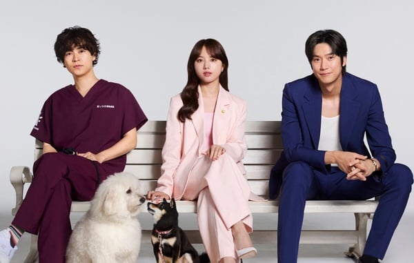 2025日劇線上看推薦25部！佐藤健《和我老公結婚吧》，綾瀨遙《孤獨死又怎樣》必追！