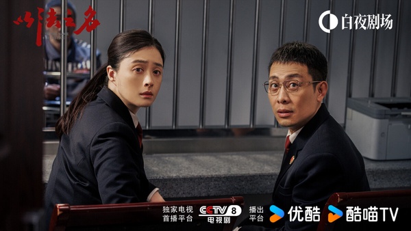 《以法之名》是暑期檔衝出高熱度的犯罪反黑劇，集結眾多實力派演員。《以法之名》講述檢察官洪學友、鄭雅萍、李棟等人，在複查「萬氏集團涉黑案」過程中發現疑點，嫌疑人張文清被誣陷構罪，並且牽扯出司法人員在案件辦理過程中徇私枉法，展開的打擊犯罪故事。