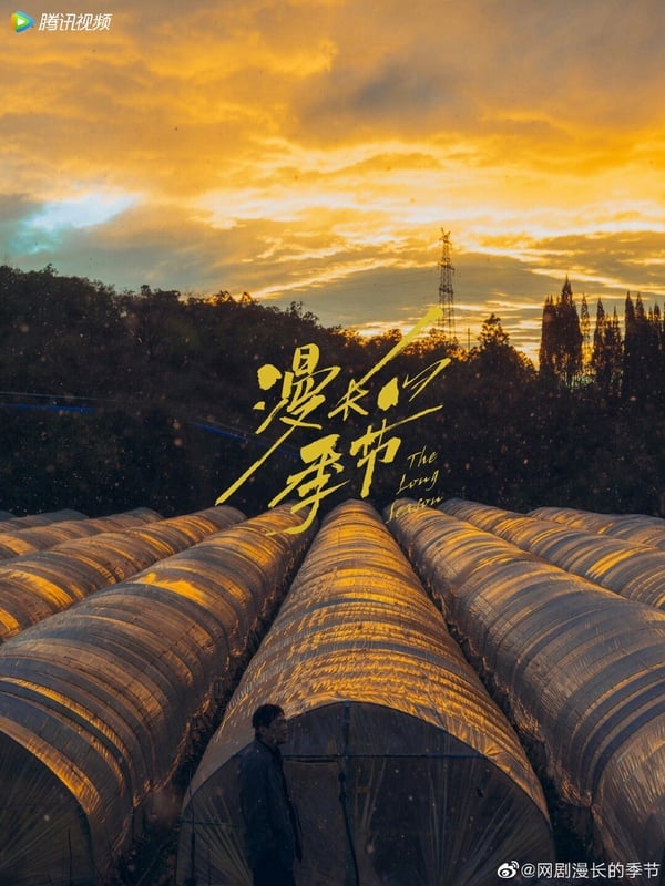 10部「燒腦」刑偵懸疑劇推薦！《利劍玫瑰》直面社會現實，《重生之門》硬核推理破局