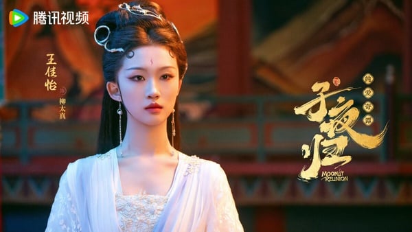 陸劇《子夜歸》演員介紹！