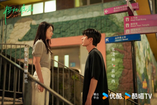 《櫻桃琥珀》由打造過《知否》、《瑯琊榜》的正午陽光出品，首播後評價兩極，網友都在吐槽劇本和剪輯。《櫻桃琥珀》原著小說不只有愛情，還有友情與成長，但劇版沒有呈現出主角群的羈絆，前幾集被認為太過平淡，剪輯也有點跳躍，豆瓣評分僅5.7。不過《櫻桃琥珀》因著趙今麥和張凌赫的搭配，還是衝出不小討論度。