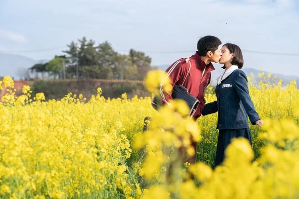 6部不用快轉「一追就上癮」的Netflix韓劇！《暴君的廚師》好看，第6部好看到停不下來