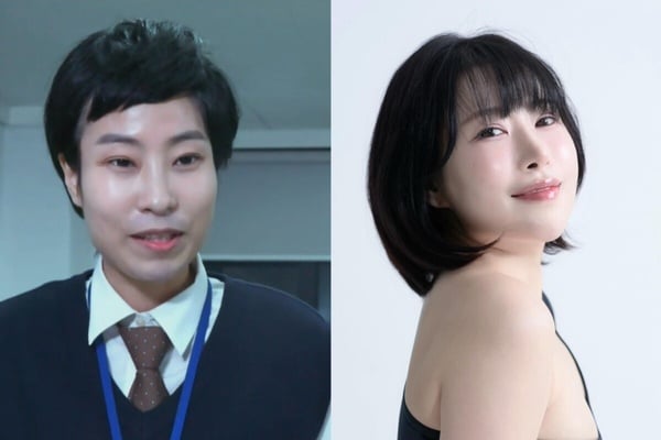 10位整形成功韓星：《夢想成為律師》鄭彩娟成「秀智接班人」，李世英花1億變性感女神