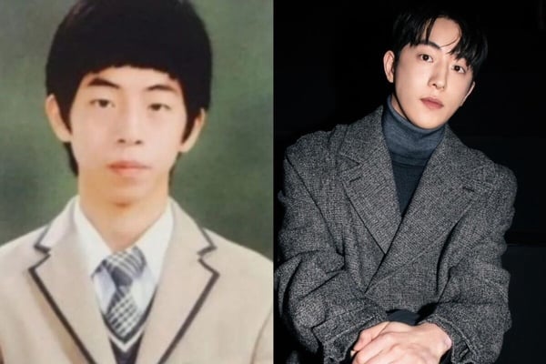 10位整形成功韓星：《夢想成為律師》鄭彩娟成「秀智接班人」，李世英花1億變性感女神