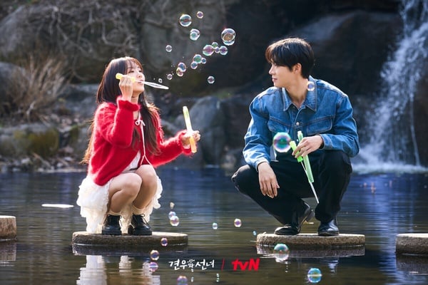 2025年tvN韓劇收視排行TOP10！《瑞草洞》第3，《暴君的廚師》狠超《未知的首爾》奪冠