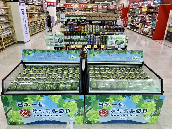 家樂福「麝香葡萄」：家樂福麝香葡萄優惠399元開吃