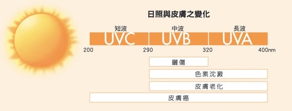 防曬係數全攻略：UVA是什麼？與UVB差異、防曬指標