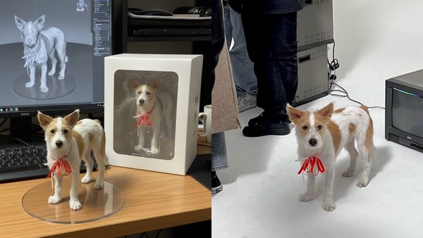 如何用免費生成自己的3D公仔模型