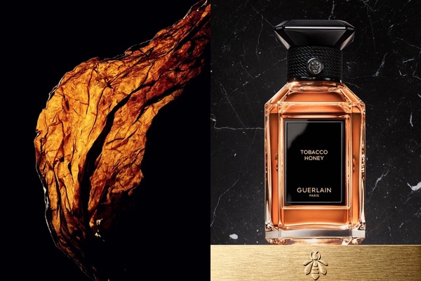 是迷人的香氣！2025琥珀調香水推薦，Aesop、Diptyque像打上琥珀濾鏡，這款輕盈有層次