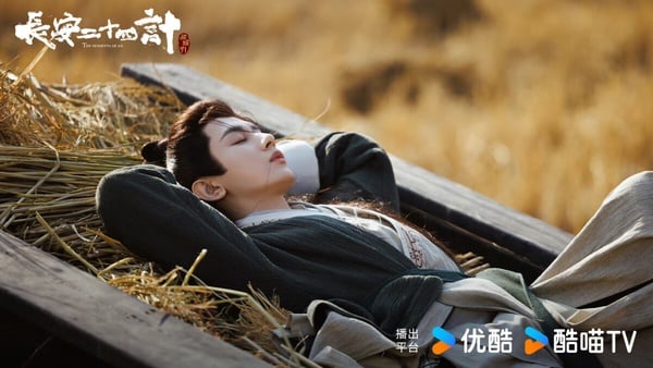 《赴山海》成毅N部待播劇盤點