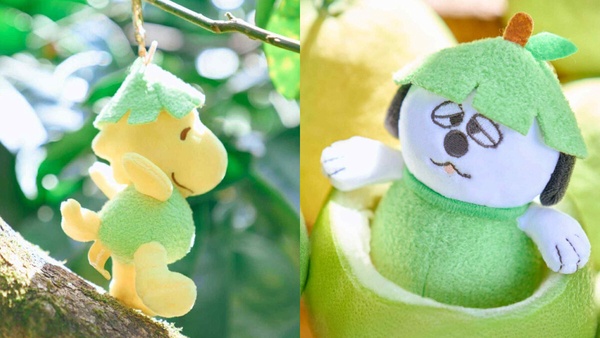 7-11「中秋柚子周邊」可愛登場！史努比、歐拉夫、糊塗塌客柚子吊飾，三麗鷗柚子娃必收