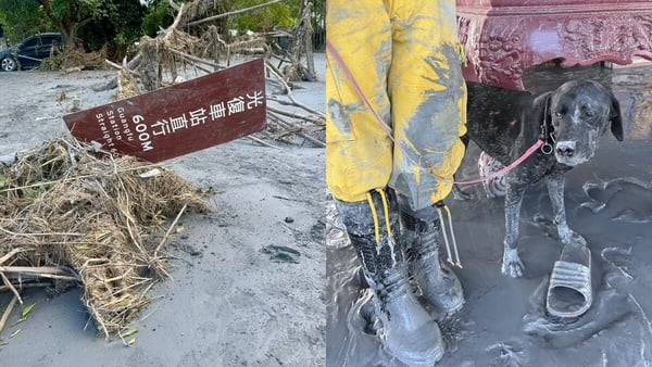 一隻搜救犬在花蓮光復鄉泥濘中協助執行搜救任務