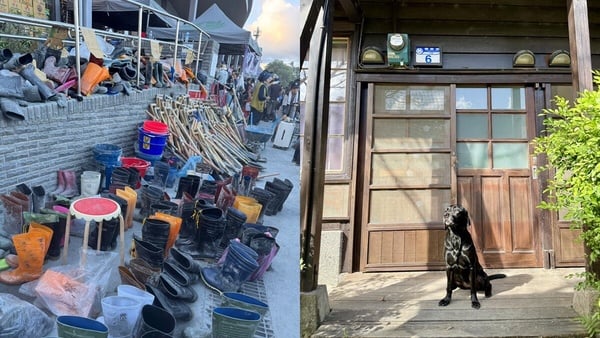 任職於高雄市政府消防局搜救犬馴養小組的黑色搜救犬，眼神專注地望向前方