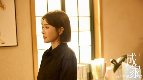 《成家》講述秦天越被派遣至婚戀網站「牽手網」新收購的子公司任職經理，她與金牌顧問馮清鳴有著截然不同的工作理念。兩人摩擦不斷，卻也慢慢克服了各種障礙，為不同身份、背景的客戶尋找相親對象，處理了相親過程中形形色色的難題。