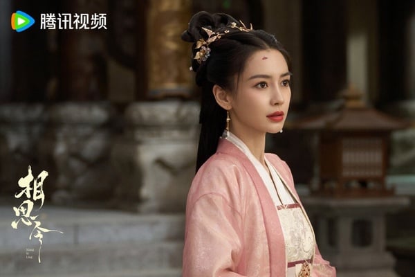 《相思令》講述君家長女君綺羅，從小擁有著雙重身份，對外為君家私生子君非凡。君綺羅在20歲的時候，被帶回北泫，自此開啟了一段在異鄉艱難生存的經歷。後來，君綺羅找機會逃回家，卻發現家產全被設計奪光。君綺羅經歷宅鬥風波後，開始了重振家業的過程。
