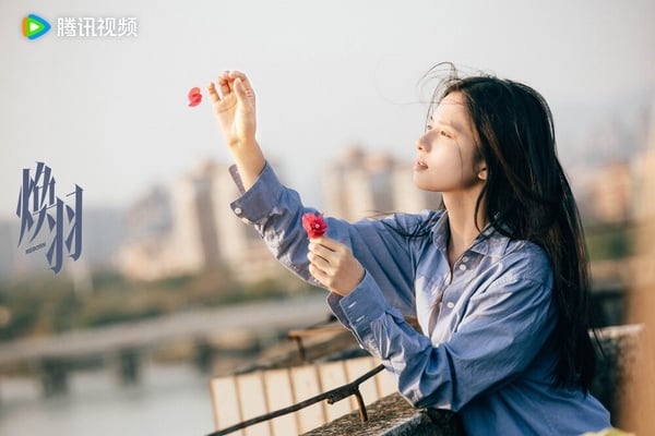 《煥羽》講述16歲少女喬青羽一家，因姐姐喬白羽的死因飽受流言折磨，不得已搬家。喬青羽尋找著姐姐去世的真實原因，然而她的行為並沒有讓事情變好，反而讓家庭瀕臨崩潰。在喬青羽最無助的時候，明盛默默地陪伴著她。最終喬青羽和家人和解，也與明盛走到了一起。