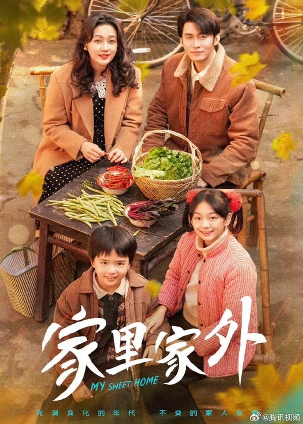 《家裡家外》和其他狗血短劇不同，走的是溫暖療癒路線，因此頗受觀眾們好評，劇情寫實溫馨，角色性格分明，不只網播量亮眼，豆瓣更獲得了7.9，比《藏海傳》、《折腰》等大劇都高分！《家裡家外》講述一場水災奪去了許多家庭的性命，單身父親工程師陳海清遇到在墨水工廠工作的單親媽媽蔡曉艷，兩人喜結良緣，這個重組家庭在時代的浪潮下互相扶持。