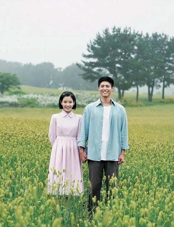 韓網熱議2025最好看的Netflix韓劇TOP8！秀智《許願吧，精靈》第3，冠軍一面倒零負評