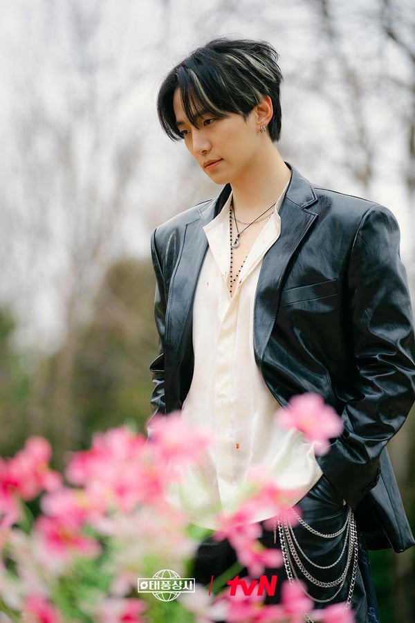 國慶連假8部「一追就上癮」Netflix韓劇！俊昊《颱風商社》必追，這兩部神劇公認一生推