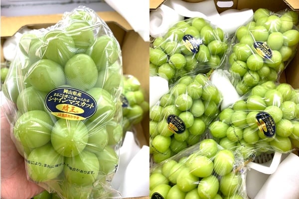日本「麝香葡萄」怎麼挑？晴王、長野、山梨差異，價格、甜度解析
