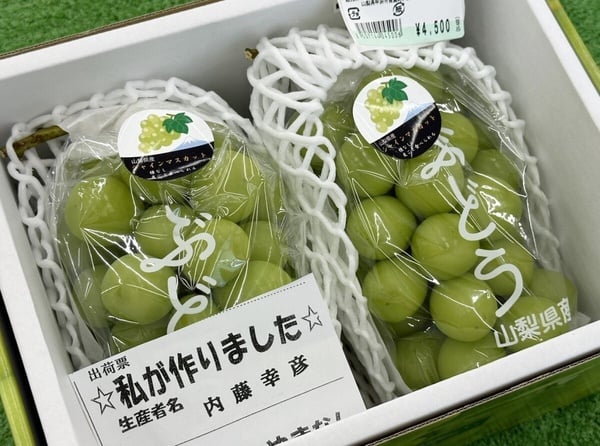 日本「麝香葡萄」怎麼挑？麝香葡萄價格、甜度解析，晴王、長野、山梨差異