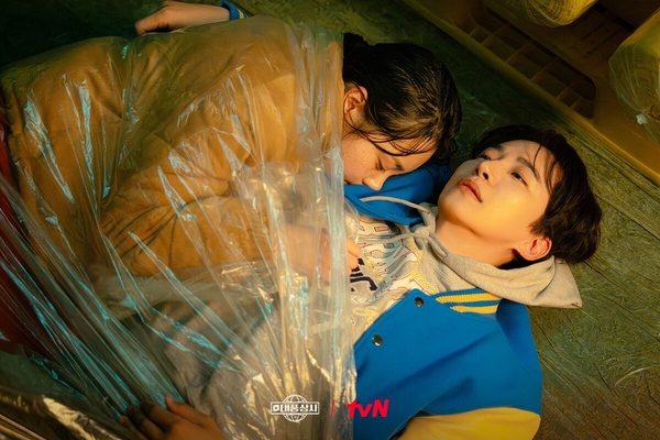 網推6部Netflix「不該錯過」的超好看韓劇！《颱風商社》神劇預警，第2部一面倒零負評