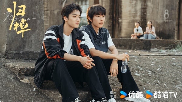 《歸棹》是部青春成長劇，由張康樂、馬柏全主演，雖然主打的是兄弟情，但整體氛圍蠻有耽美劇的感覺，所以在網上也小有熱度，只不過因為兩位主演都不算太知名，所以網播量也比較低，不過《歸棹》口碑蠻好的，豆瓣有6.8分，劇情描繪情感細膩，兩位男主角不只顏值高，演技也自然！