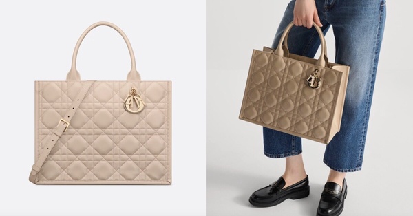 精品大容量托特包2：Dior Book Tote 中型托特包，NT$135,000