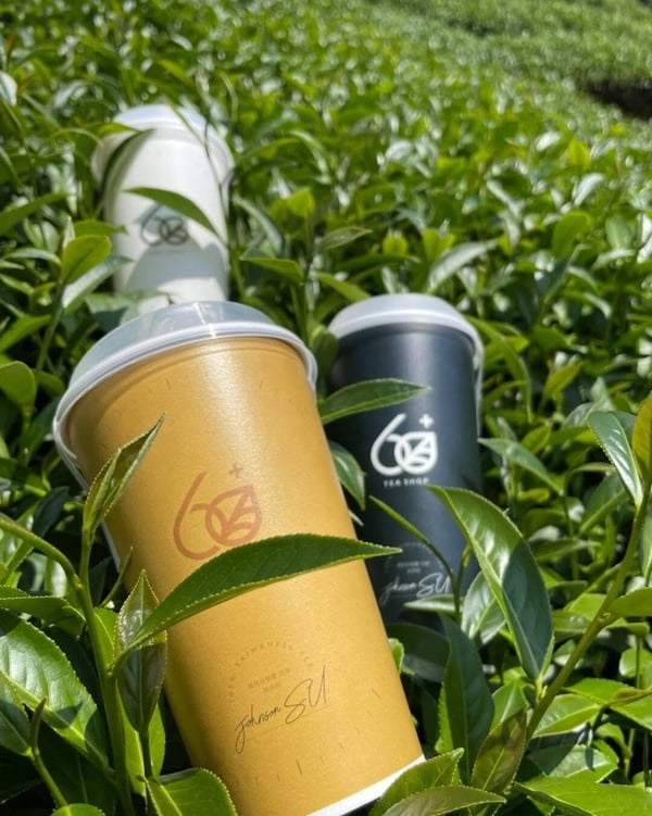60+ tea shop 的品牌 Logo 與盛裝在印有logo紙杯的招牌茶飲