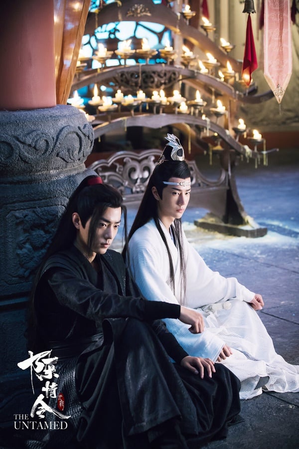 網友票選冠軍是《陳情令》，這部劇的調性比較尷尬，《陳情令》普遍被歸類在仙俠劇，但也有一部分的觀眾認為《陳情令》兼具俠義精神，有熱血刺激的武功對打、陰謀不斷的氏族爭鬥，因此也有人認為《陳情令》是新式武俠劇。