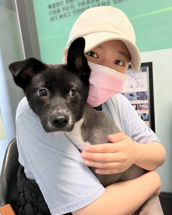 定延所領養的狗狗 Yuki 在被細心照料後康復的健康可愛模樣，象徵一個被愛改變的生命。