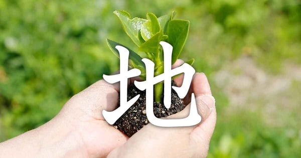 日本神社太多不知道怎麼選？ 日本熱議「生日+血型」找到最適合神社
