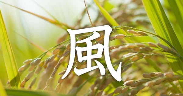 日本神社太多不知道怎麼選？ 日本熱議「生日+血型」找到最適合神社