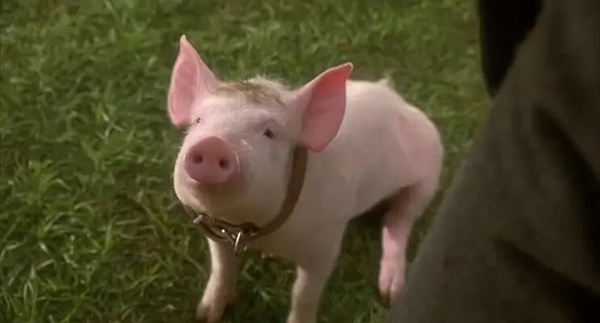 《動物方城市2》20大彩蛋細節！