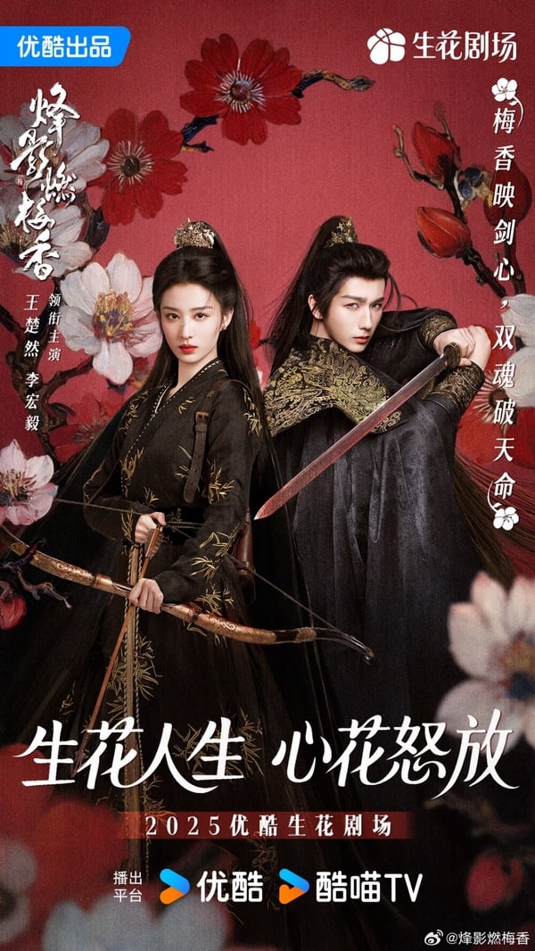 劇情講述在戰亂的時局下，擁有雙魂的古怪少女安久從平凡少女蛻變成為皇家女特工，並遇見了少年將軍楚定江，兩人並肩作戰，經歷了種種艱險。她一路上過關斬將，不僅成長為強大的戰士，更逐漸學會信仰與愛。