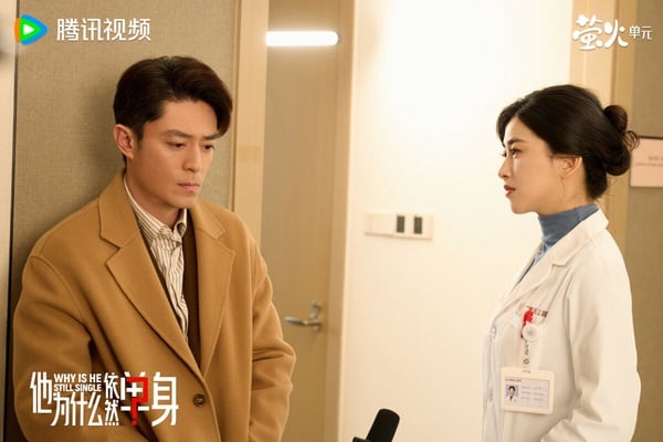 霍建華《他為什麼依然單身》第九名！改編自日劇《熟男不結婚》，講述年至不惑的室內設計師俞瑜，其宣稱「不婚」卻屢遇情感困境，在偶遇綜合內科醫生顧葉嘉後，展開情感碰撞，探討當代都市男女的婚戀觀差異的故事。