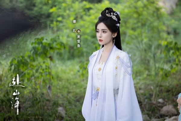 成毅先前推出的《琉璃》、《蓮花樓》等古裝劇都廣受好評，也讓大家對《赴山海》期待很高。然而《赴山海》評價不佳，不少觀眾都在吐槽製作質感。劇中有不少現代道具穿幫的畫面在微博引起熱議，像是古裝劇卻出現劇本、厚底洞洞鞋等畫面。《赴山海》沒有成毅先前的《蓮花樓》那麼高評。