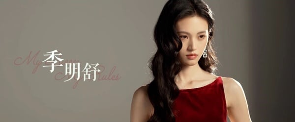 《不二之臣》劇情看點＆角色介紹：敖瑞鵬化身銀髮霸總，搭《朝雪錄》沈羽潔演契約夫婦