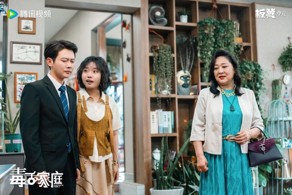 《毒舌家庭》是一部搞笑情境喜劇，有不少在綜藝上常常露臉的演員，劇情是溫馨喜劇路線，有不少關於職場話題、親子邊界的諷刺笑料。笑點部分見仁見智，《毒舌家庭》雖然沒有像《鵲刀門傳奇》、《武林外使》那樣開出一面倒高評，但作為下飯劇可以一看。