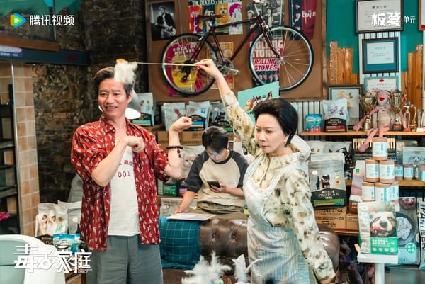《毒舌家庭》是一部搞笑情境喜劇，有不少在綜藝上常常露臉的演員，劇情是溫馨喜劇路線，有不少關於職場話題、親子邊界的諷刺笑料。笑點部分見仁見智，《毒舌家庭》雖然沒有像《鵲刀門傳奇》、《武林外使》那樣開出一面倒高評，但作為下飯劇可以一看。