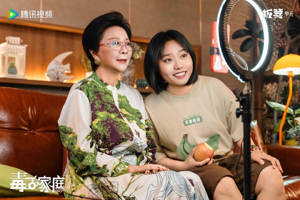 《毒舌家庭》是一部搞笑情境喜劇，有不少在綜藝上常常露臉的演員，劇情是溫馨喜劇路線，有不少關於職場話題、親子邊界的諷刺笑料。笑點部分見仁見智，《毒舌家庭》雖然沒有像《鵲刀門傳奇》、《武林外使》那樣開出一面倒高評，但作為下飯劇可以一看。