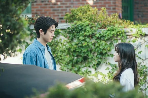 2025最高分Netflix原創韓劇TOP10！《認罪之罪》第6，《外傷重症中心》第3，冠軍確實神