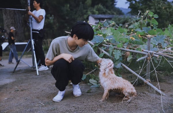 《狙擊蝴蝶》周柯宇的N件事