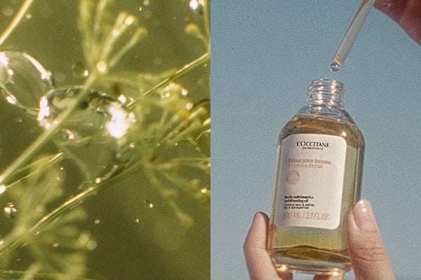 沙龍級護髮油推薦9：L'OCCITANE 歐舒丹 草本深層修護精華油