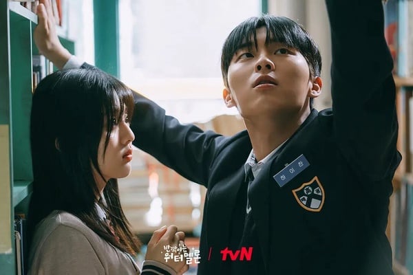 8部「不有名但超好看」的Netflix韓劇！鄭敬淏《公益律師》必追，這部更是一面倒零負評