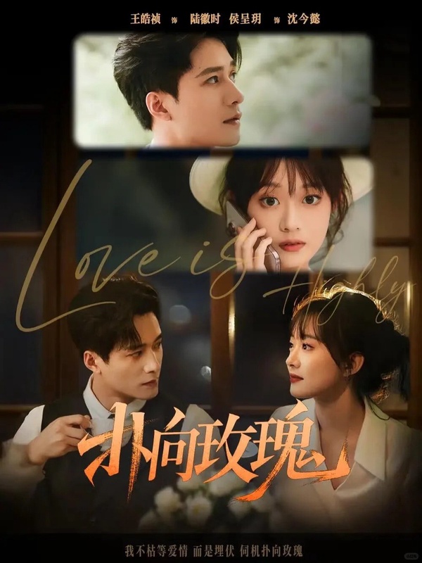 採暗戀成真設定的陸劇《撲向玫瑰》，男女主角上演浪漫互動