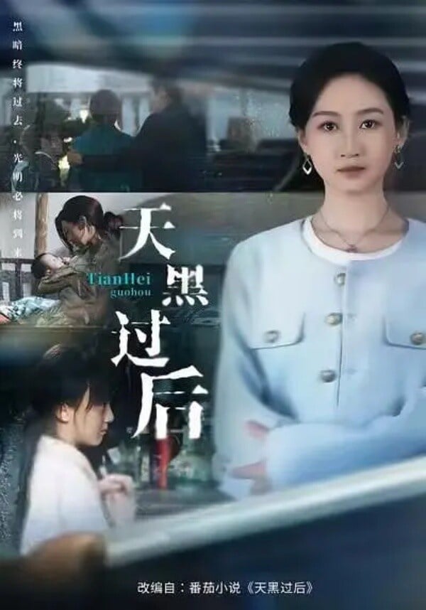 《天黑過後》和以往主打狗血的短劇不同，題材很現實，人物刻畫到位，演員們都是實力派，甚至網友還表示，這部根本就是《利劍玫瑰》的短劇版。《天黑過後》劇情講述陳招娣的母親陸曉寧是被拐進大山的富家千金，七歲這年，陸曉寧的家人找到她，將陸曉寧帶回了家，但陸曉寧因常年遭受虐待，患上了嚴重的心理疾病，稍有風吹草動就會情緒崩潰，導致所有人都排斥有著那個男人骨血的陳招娣。