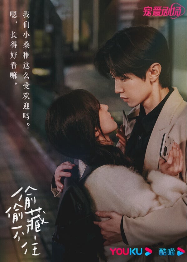 雖然《偷偷藏不住》已經夠熱門了，但講到Netflix好看到停不下來的現偶陸劇，當然也不能少了它！《偷偷藏不住》改編自晉江熱門小說，原作人氣相當高，劇版同樣火爆。這是一個關於暗戀的故事，超級高糖！