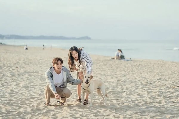 不像《一吻爆炸》爛尾！6部「錯過是浪費Netflix」超好看愛情韓劇！這部是公認的天花板