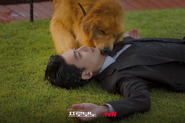 近期Netflix台灣人氣排行TOP10！《長安二十四計》第9，《驕陽似我》第4，冠軍真的夯！